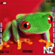 frog_red.nth