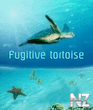 fugitive_tortoise.zip