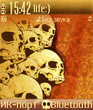 Skull_Desktop_by_lemans.sis