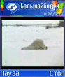 Р‘РѕР»СЊС€РѕР№ Р‘Р°РґСѓРЅ.3gp