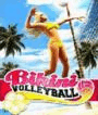 Bikini_Volleyball.zip