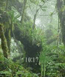 1Animate_forest_N80.zip