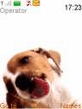 Dog.nth