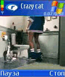 Crazy_cat.3gp