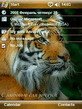 tigress_by_lex226