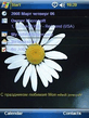 camomile_by_lex226