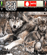 wolf.zip