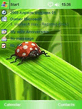 ladybird_by_lex226