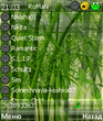 extskin_green_bamboo.zip