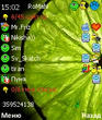 extskin_lime.zip