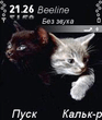 MewKitten.zip