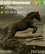 extskin_horse_by_sim.zip