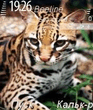 Wild_cat.zip