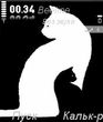 Two_cats.zip
