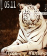 Family_white_tigers.zip