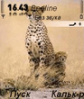 Gepard.zip