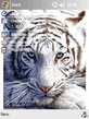 Waiting_tiger.zip