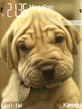 Animated_Puppy_by_Dh0n2x.zip