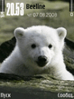 Knut.zip