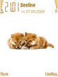 Shiba.zip