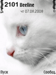 The_Cat.zip