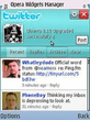 Opera Widgets Manager.zip