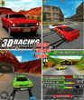 3D Racing Evolution.zip