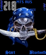 Pirates.zip