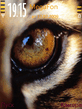 Wild_Eyes.sis