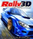 3D Rally Evolution