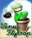 Venus Flytrap