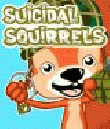 Suicide Squirrels