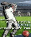 Michael Vaughans Cricket 2008