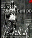 Street BasketBall 3D