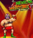 Mexican Wrestling