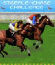 Steeple Chase Challenge