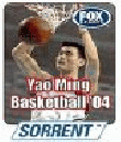 Yao Mind BasketBall