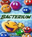 Bacterium