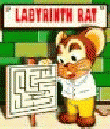 Labyrinth Rat