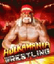 Hulkamania Wrestling