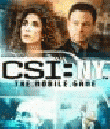 CSI: New York