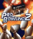 Pro Bowling 2