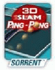 3D Slam Ping Pong