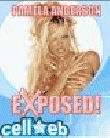 Pamela Anderson Exposed