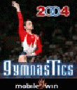 2004 Gymnastics