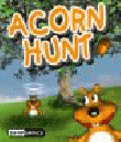 Acorn Hunt