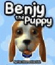 Benjy The Puppy