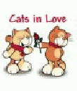 Cats In Love