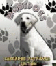 MobiDogs Labrador