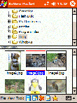 XnView Pocket v1.51 РґР»СЏ Windows Mobile 2003, 2003 SE, 5.0, 6.x for Pocket PC